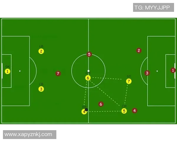 成都排球队防守反击战术分析与表现评估 成都排球队防守反击战术分析与表现评估