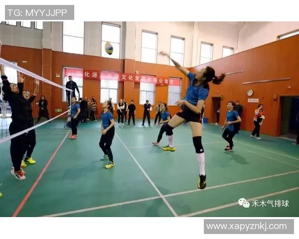 广州排球队快攻革新之路：战术创新与团队协作的完美结合